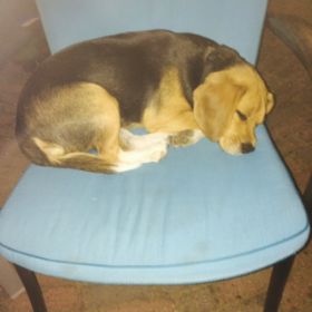20150630.jpg