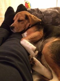 20141117.JPG