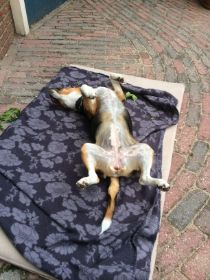 20150820.JPG