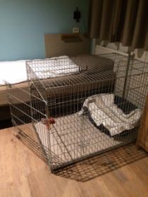 20151112 slaapkamer.JPG