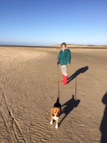 20151112 strand.JPG