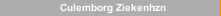 Culemborg Ziekenhzn